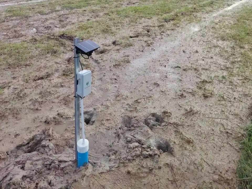 Rice field monitoring deployment