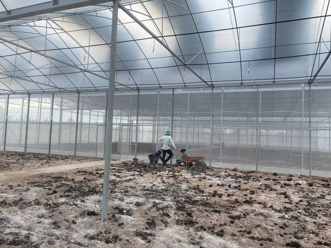 Nethouse internal view 1