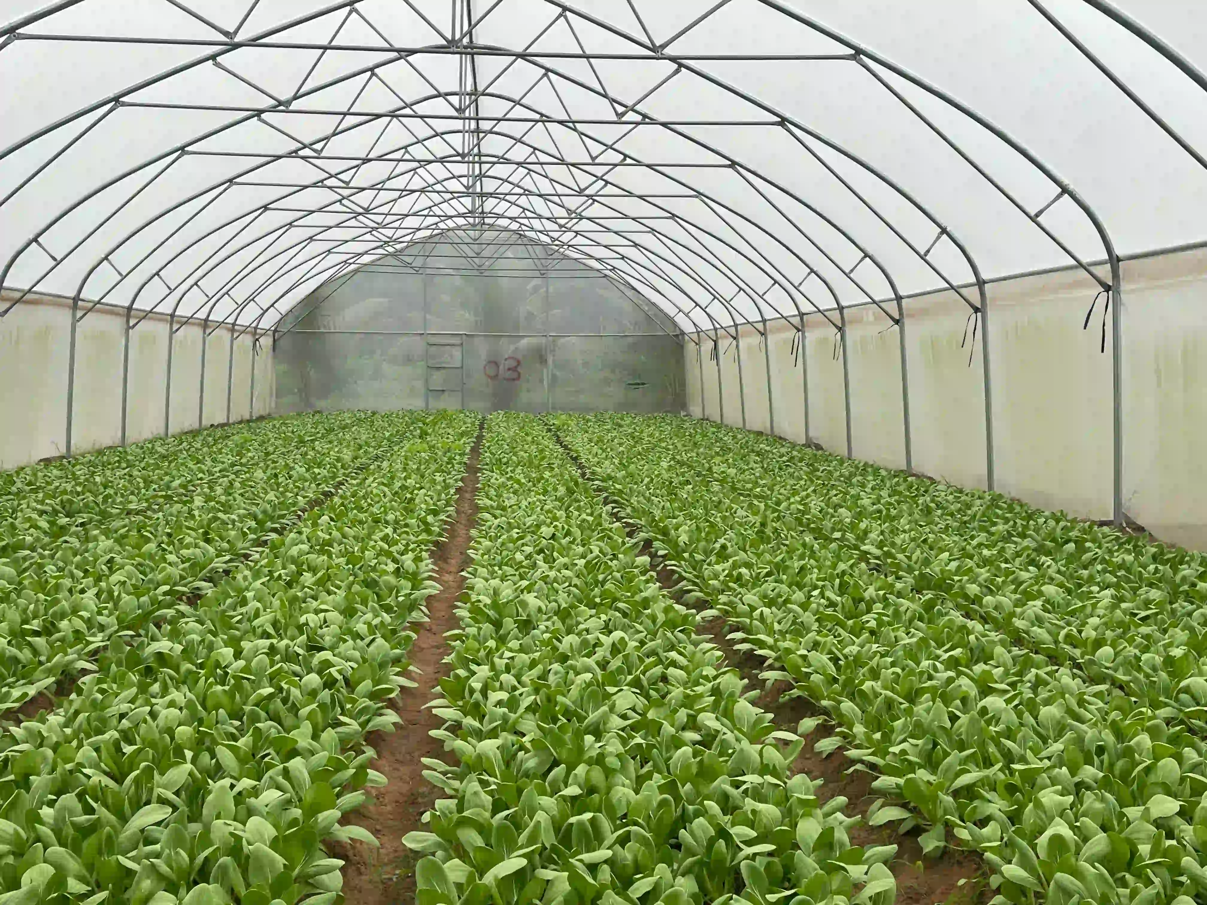 Tech Integrated Farm Interior